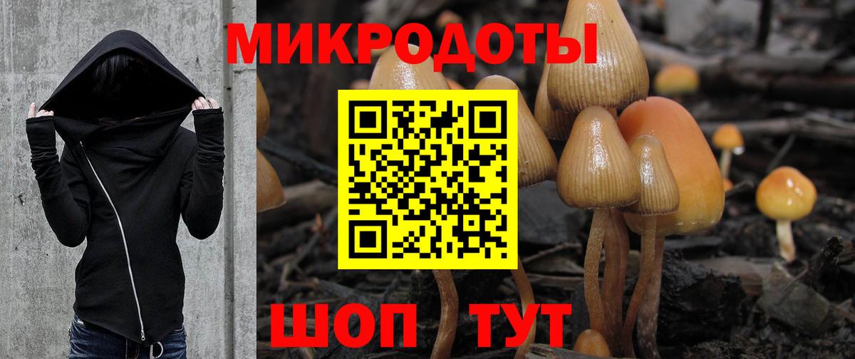 Псилоцибиновые грибы прущие грибы  Вход с VPN  Чернушка 